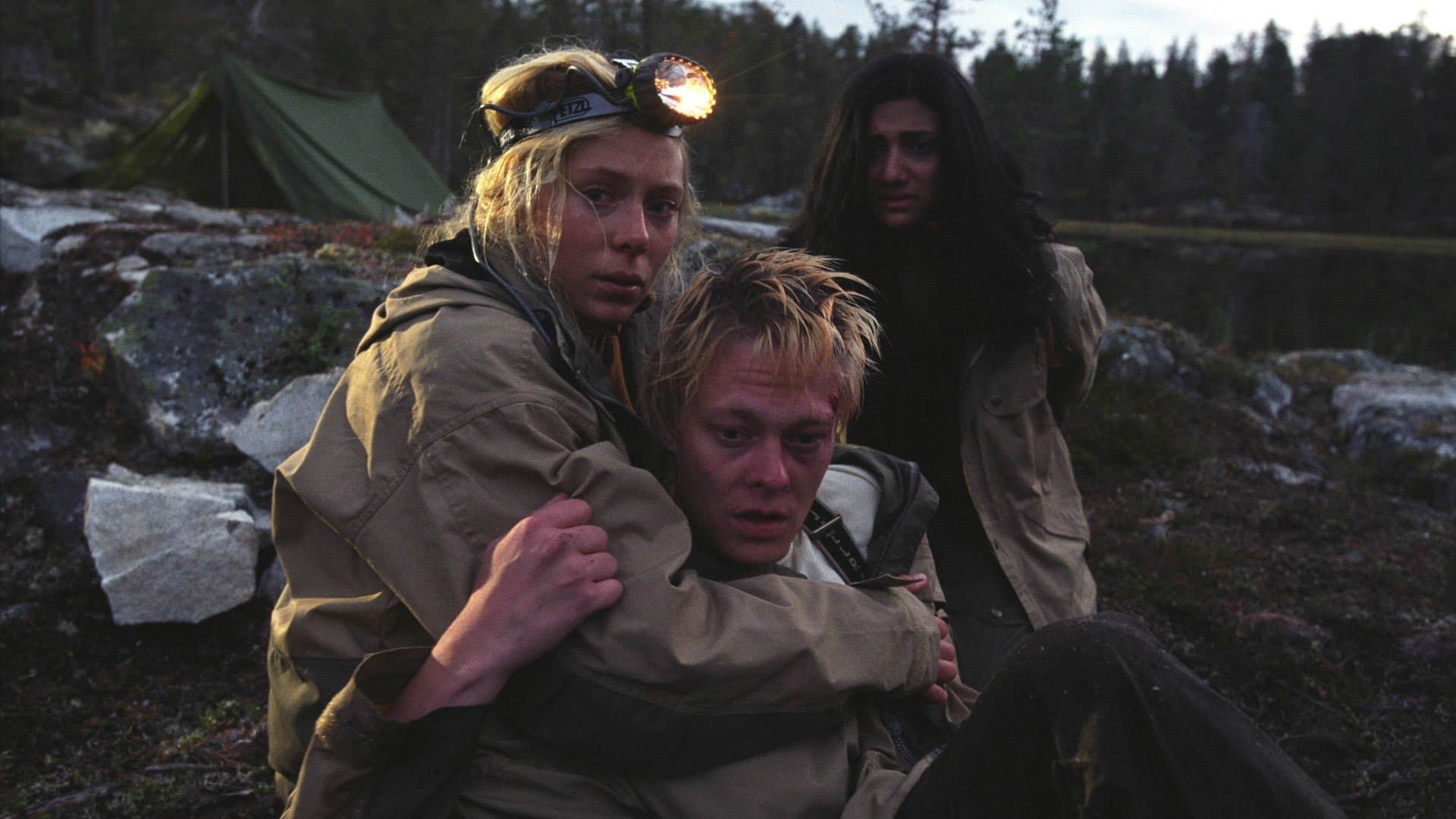 Dark Woods - La foresta misteriosa