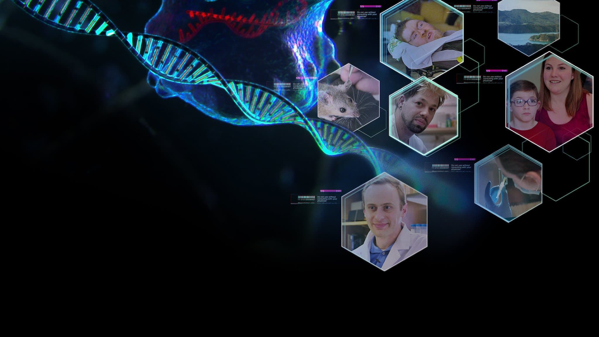 Selezione innaturale