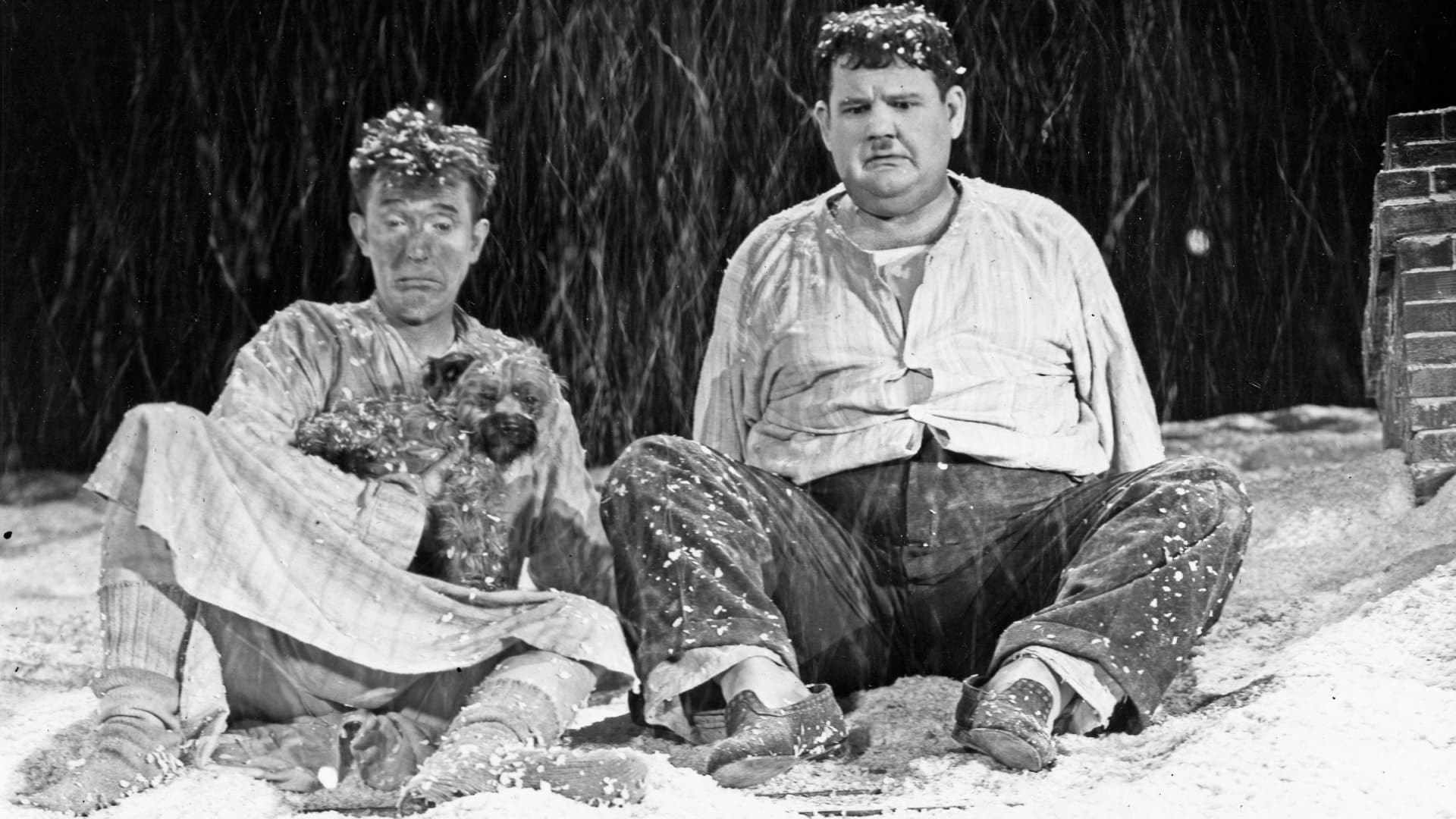 Non c'è niente da ridere