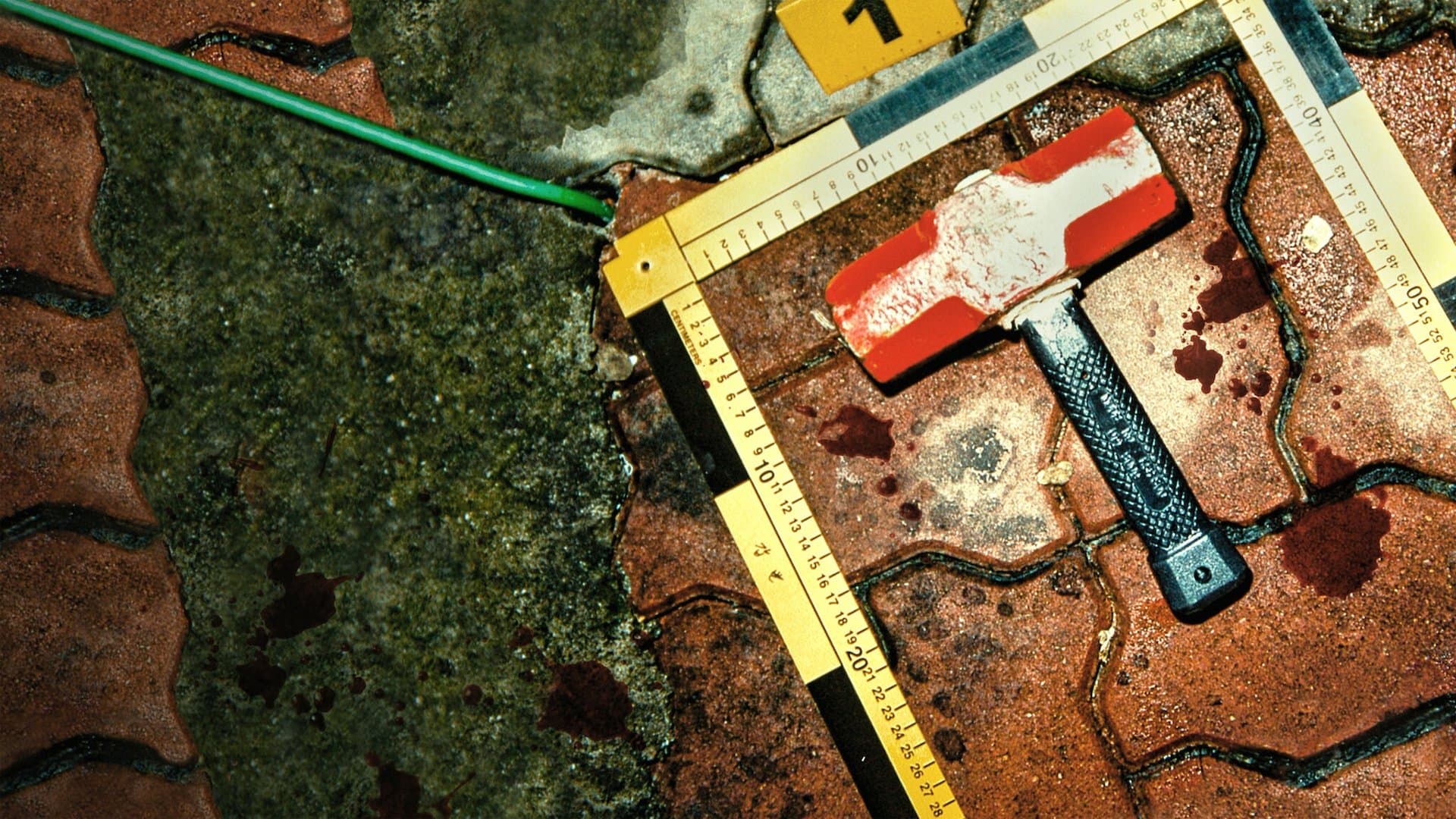 Caccia al killer dall'impermeabile giallo