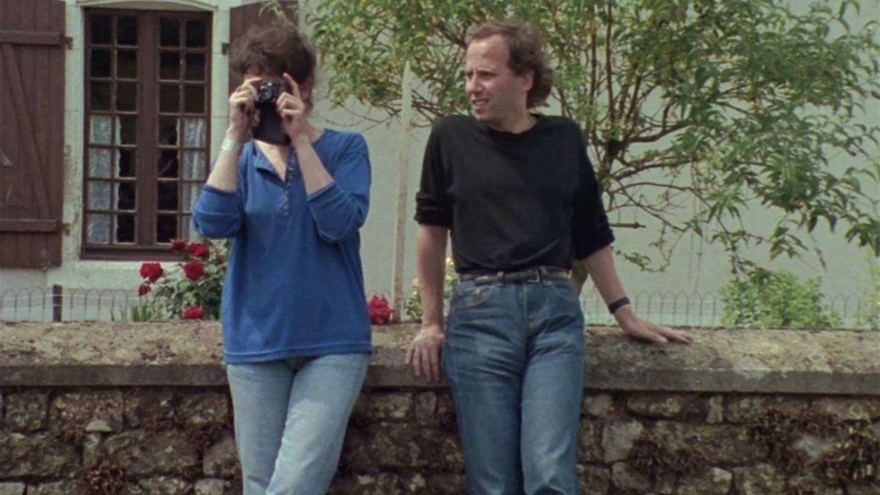 L'albero, il sindaco e la mediateca