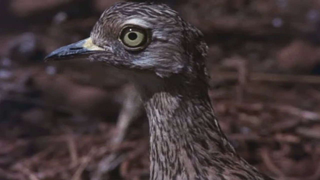 ...E vivono tutti felici e contenti