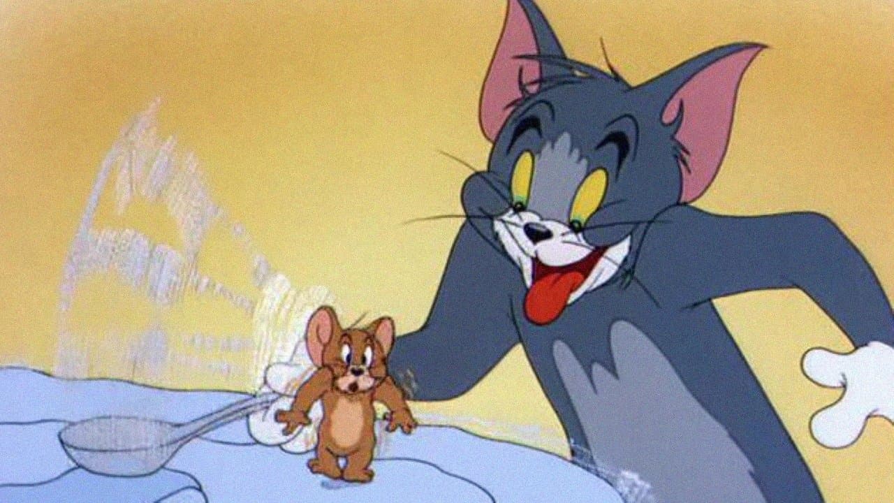 Il gatto del sabato sera