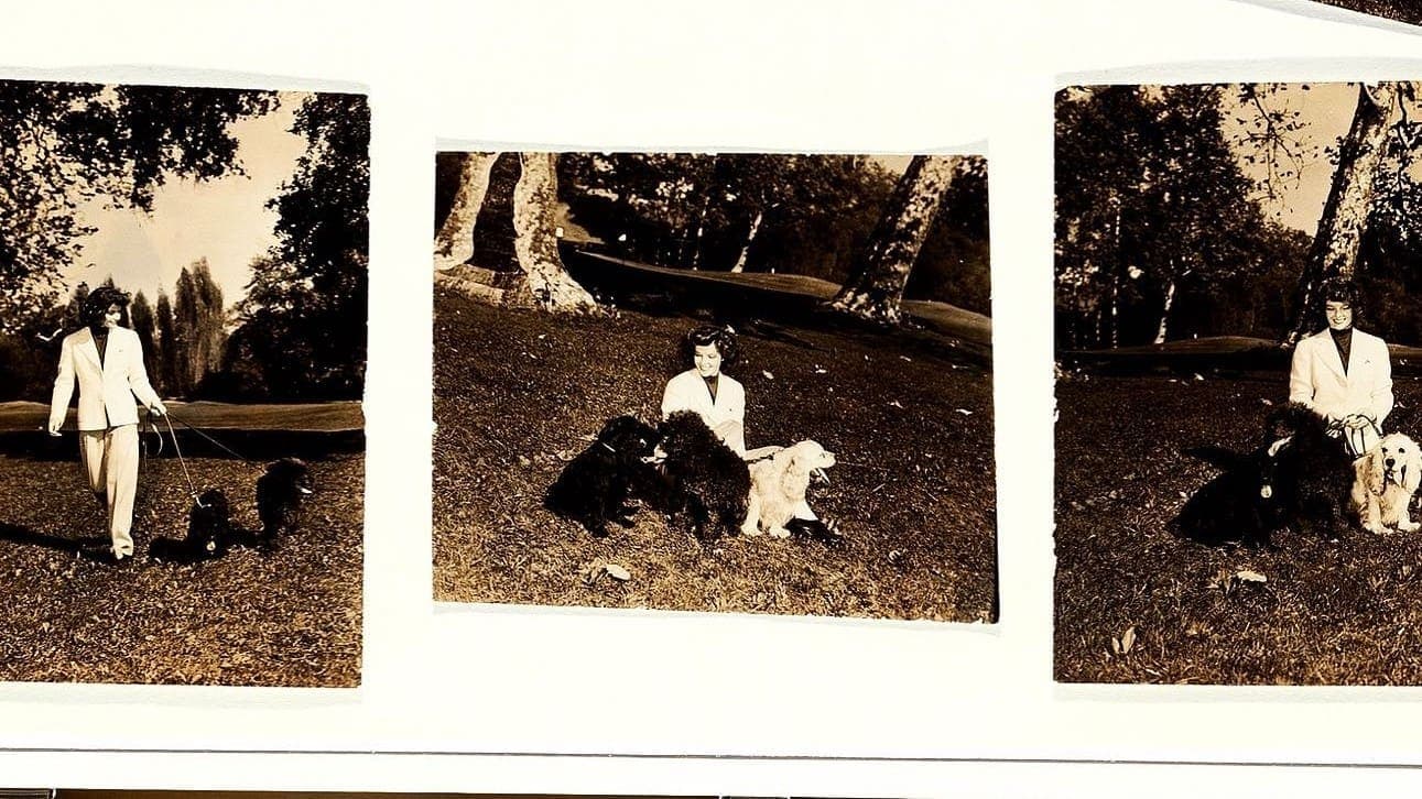 Call me Kate - La vita di Katharine Hepburn