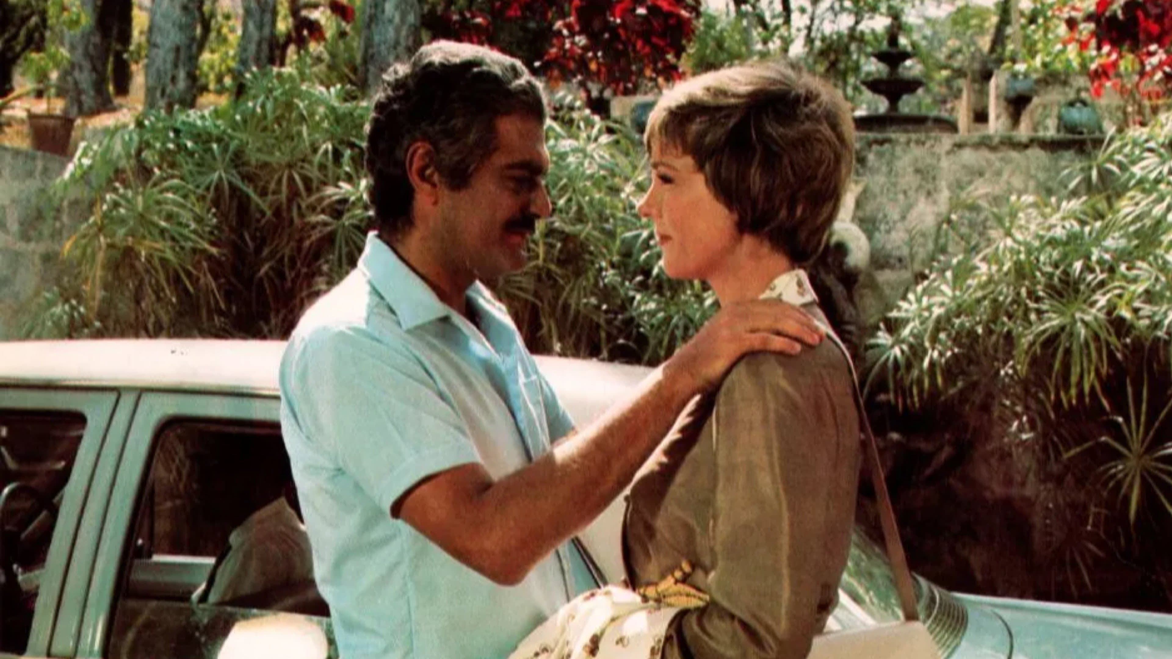 Il seme del tamarindo