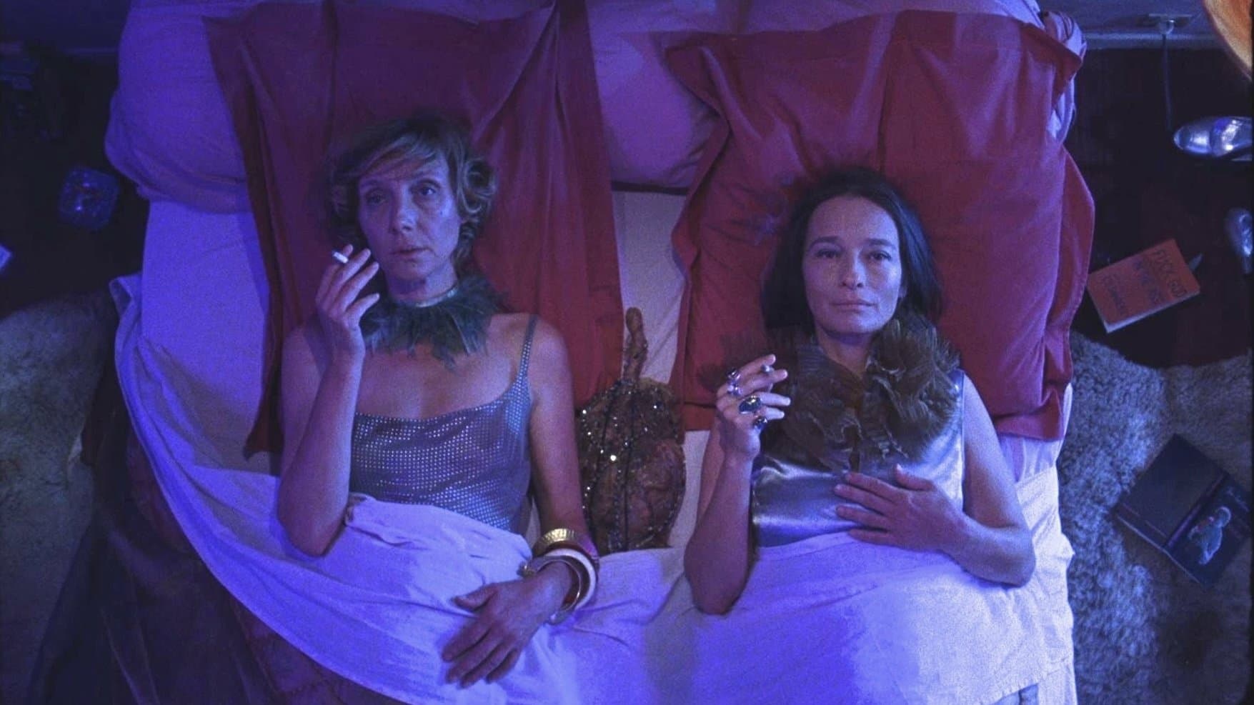 Notre-Dame des Hormones