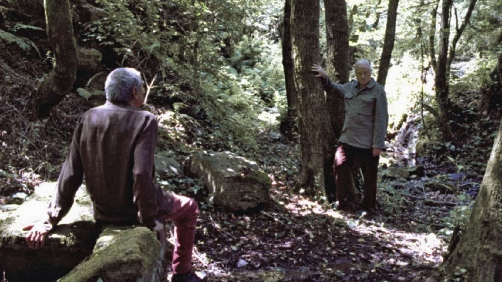 Il ginocchio di Artemide