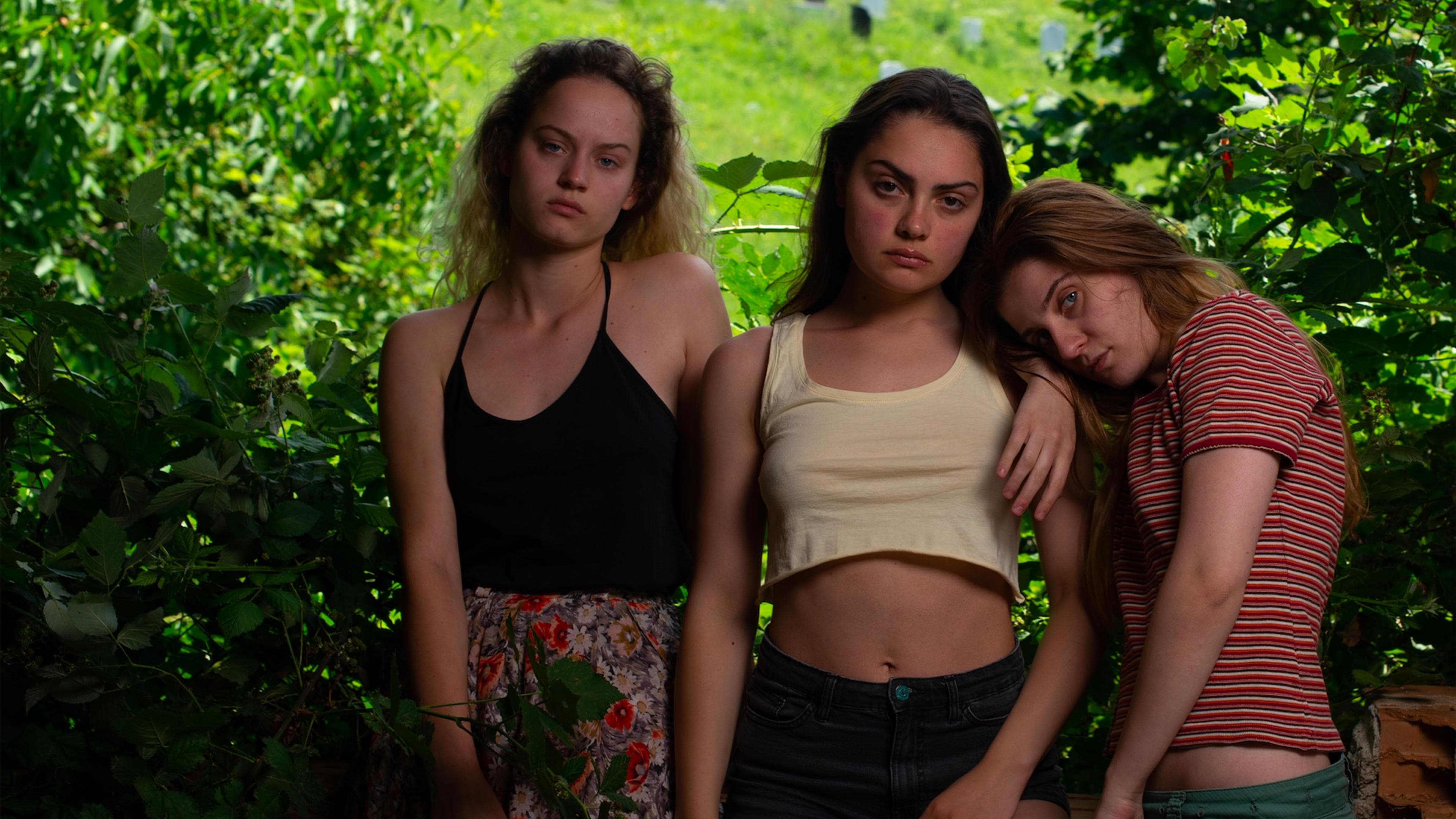 La Colline où rugissent les lionnes