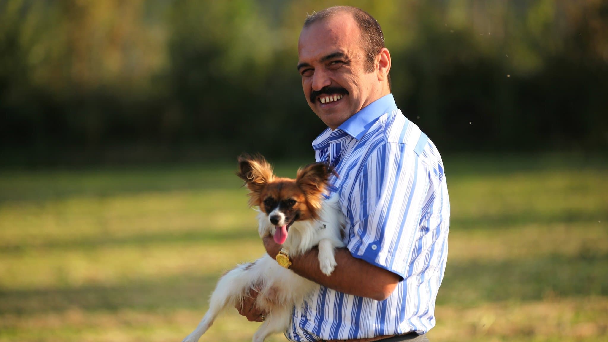 Il mercato non si tocca