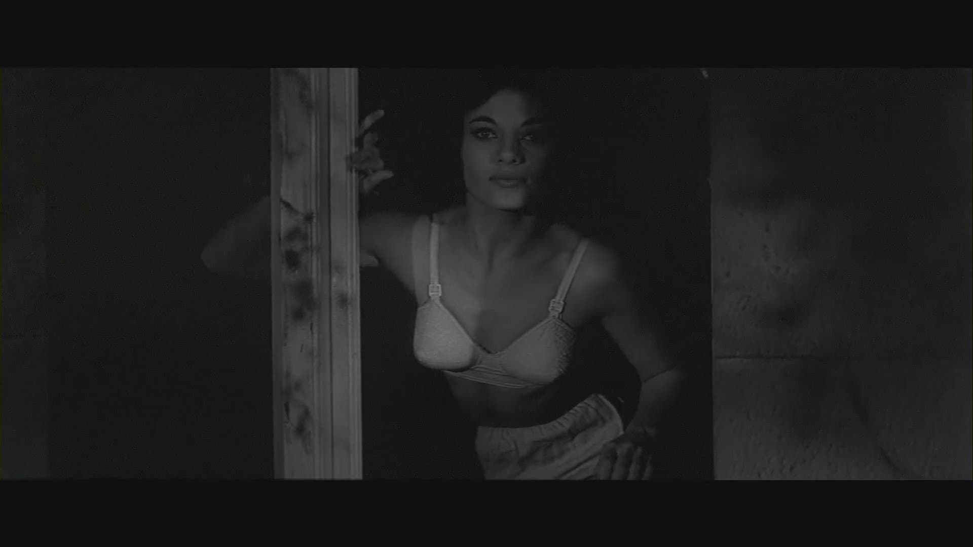 La maledizione della mosca