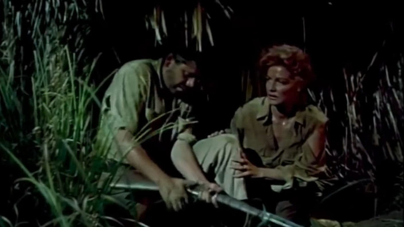 I ribelli dell'Honduras