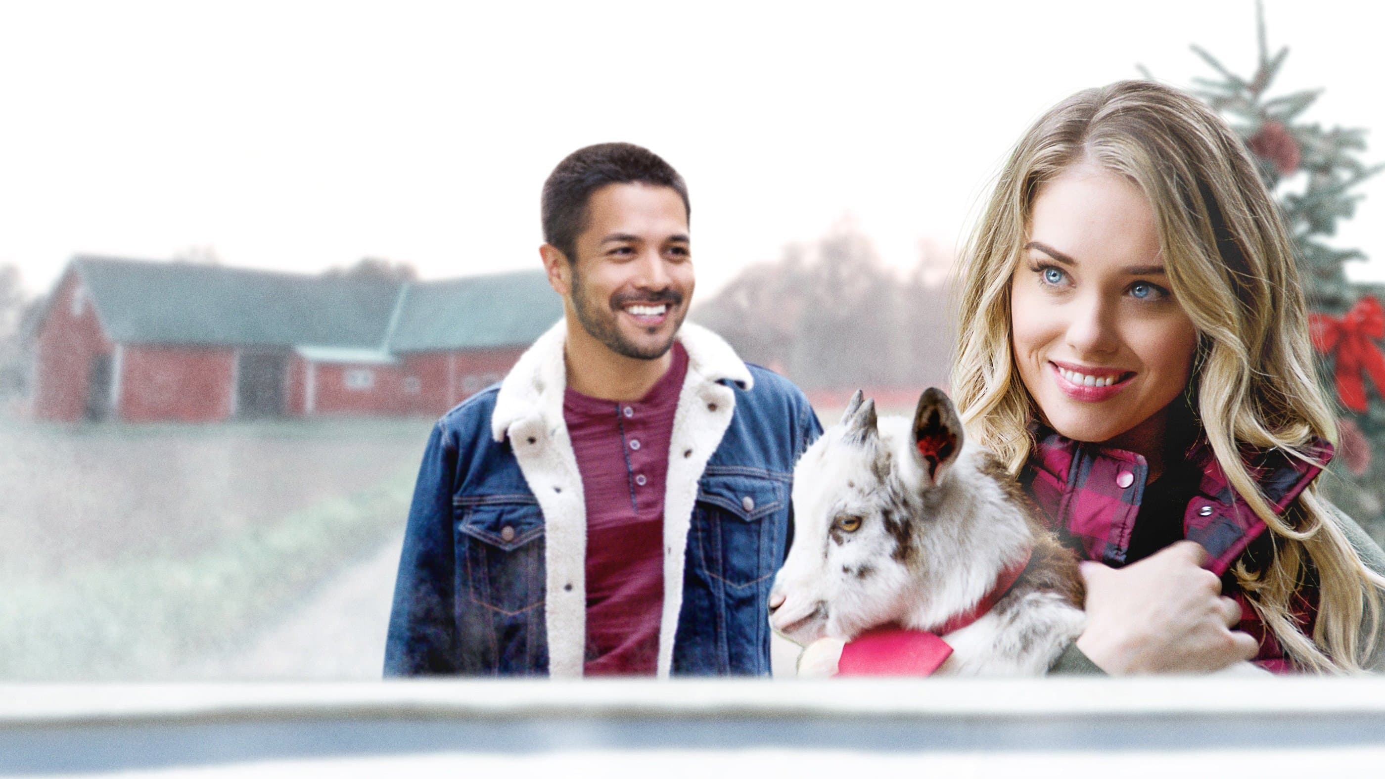 Un Natale in famiglia