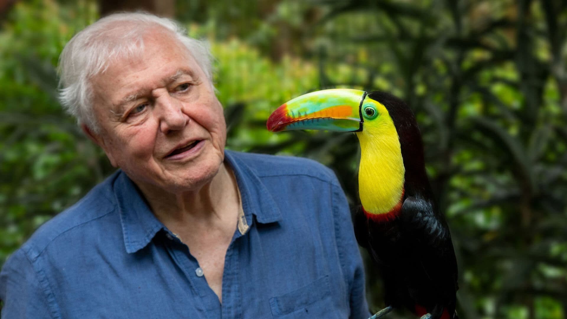 David Attenborough: la vita a colori