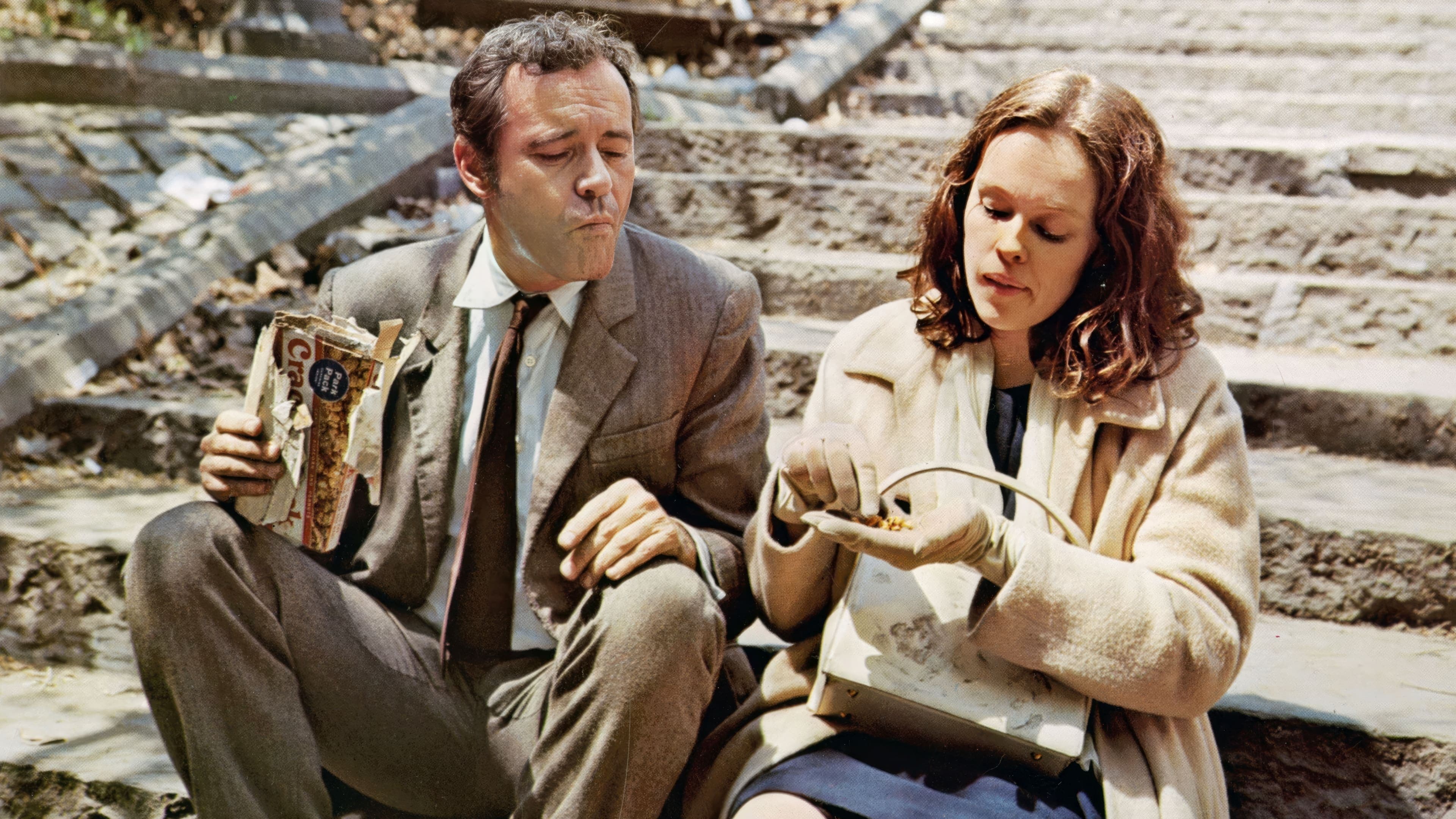 Un provinciale a New York