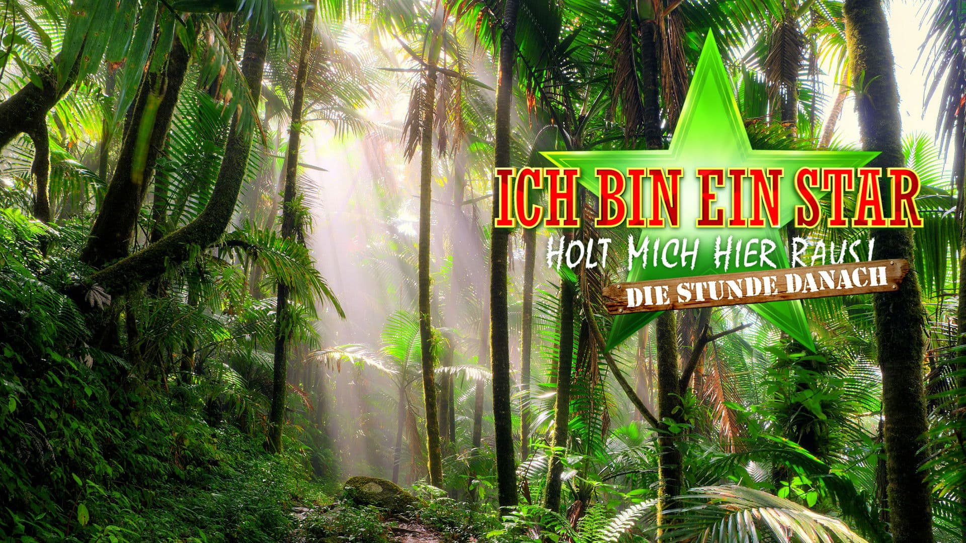Ich bin ein Star – Holt mich hier raus! Die Stunde danach