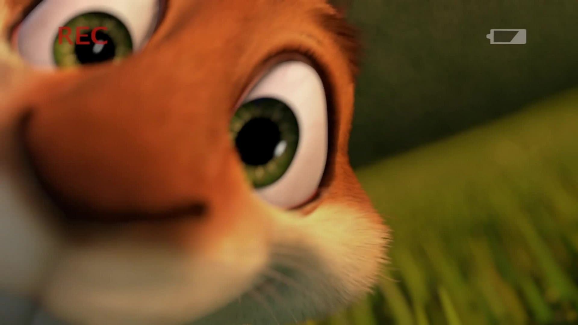 L'avventura di Hammy con il boomerang