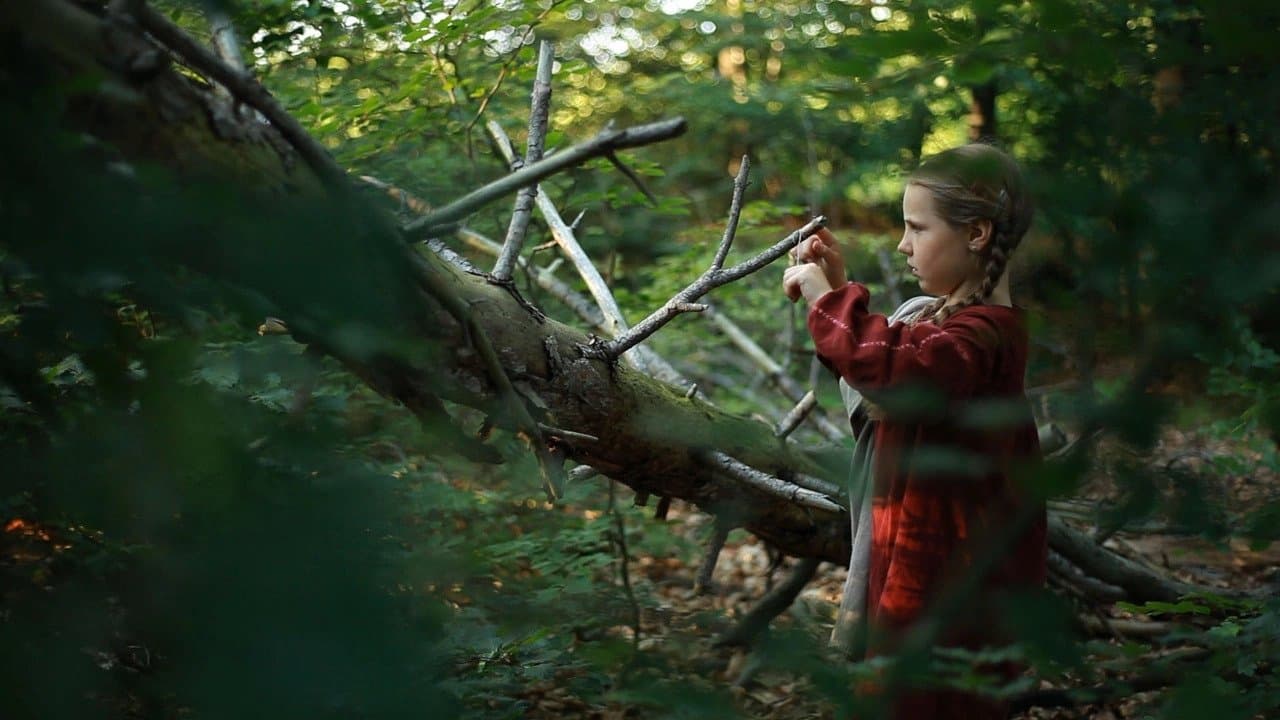 Il racconto di cathy