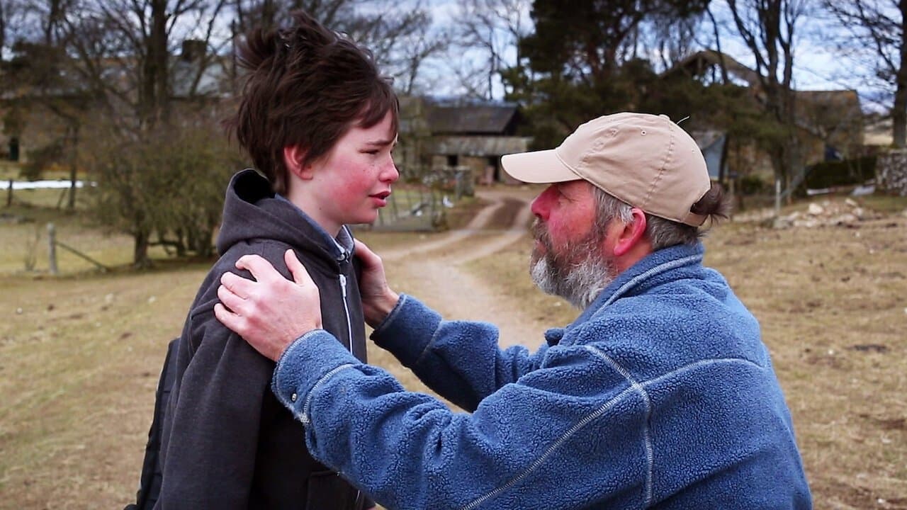 Il corvo sul pontile