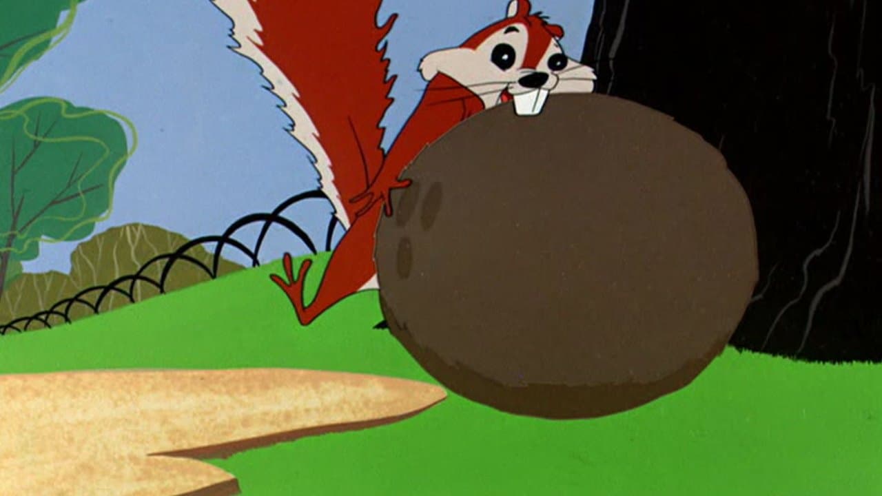 Chi si accontenta gode