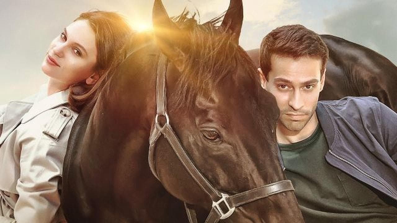 Bold Pilot - Leggenda di un campione