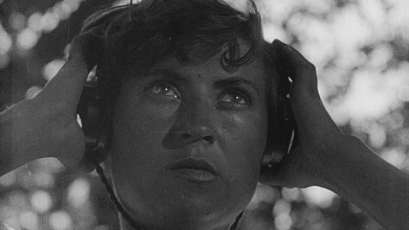 Entusiasmo - Sinfonia del Donbass