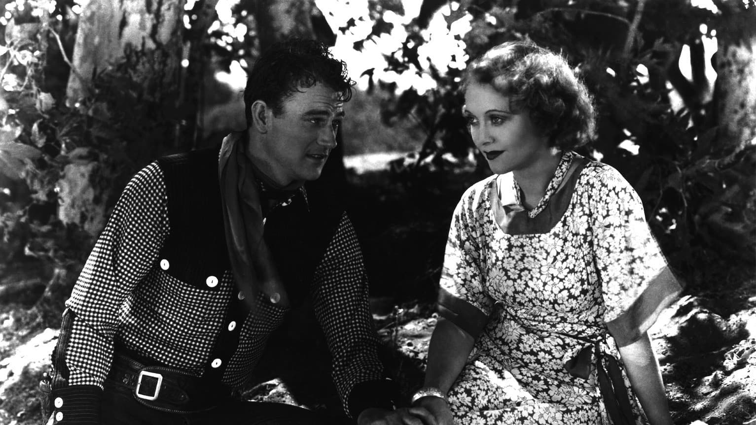 Sotto i cieli dell'Arizona