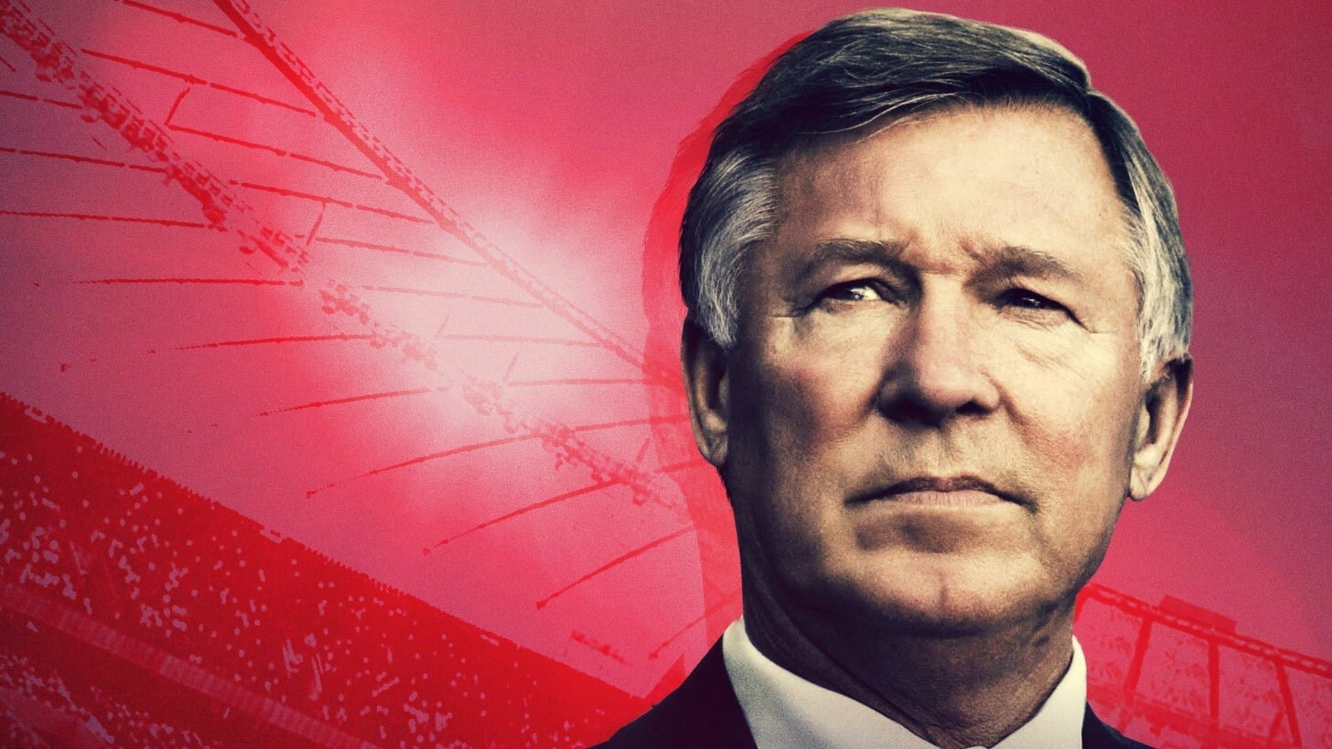 Sir Alex Ferguson: Mai arrendersi