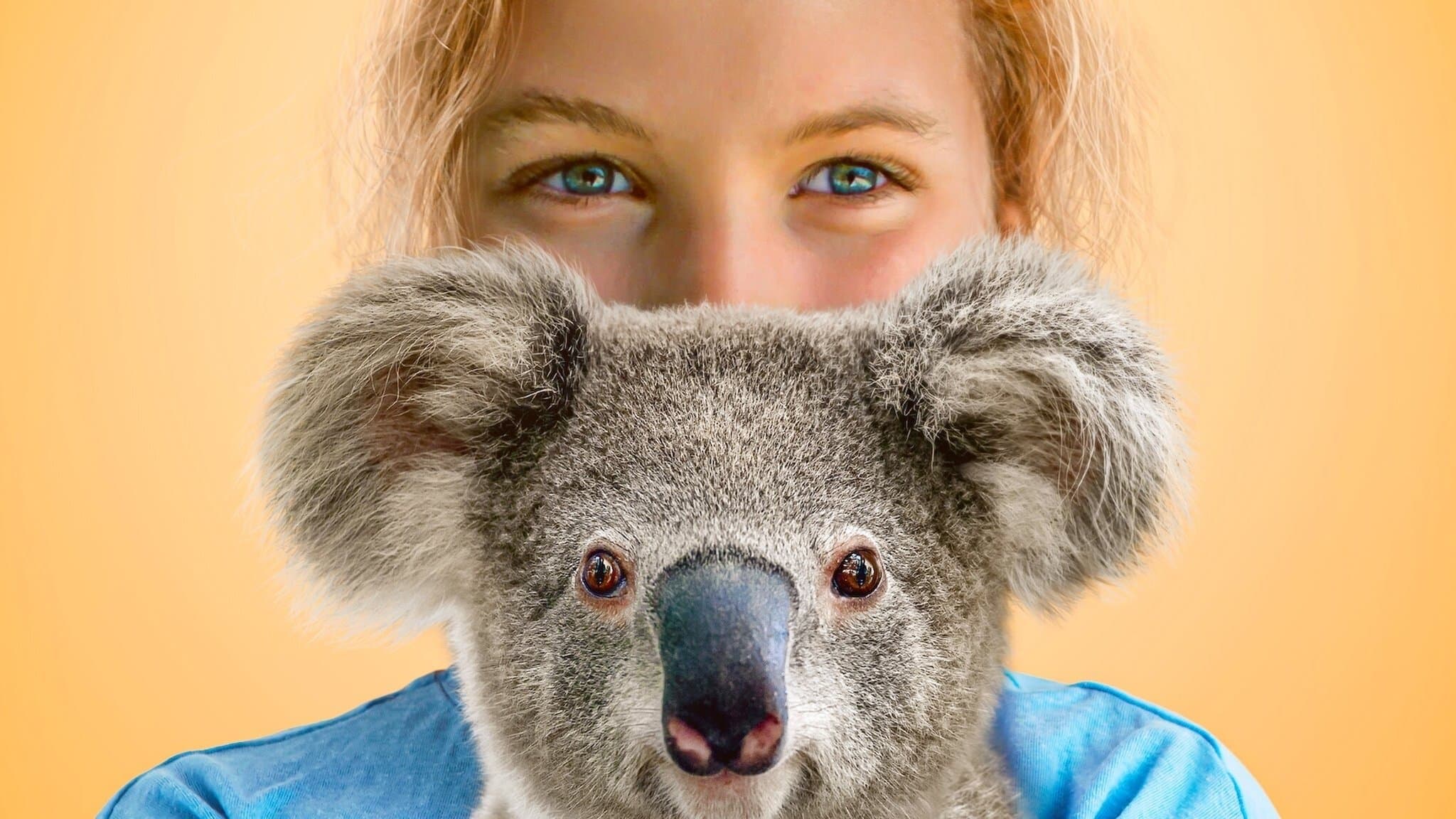 Izzy nel mondo dei koala