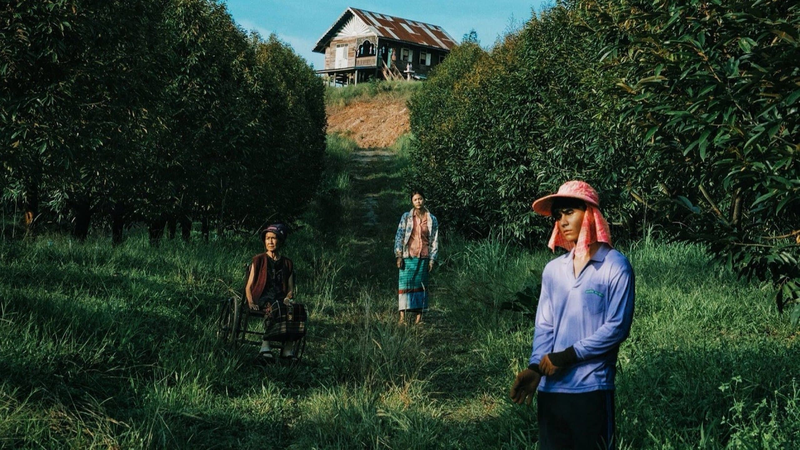 วิมานหนาม