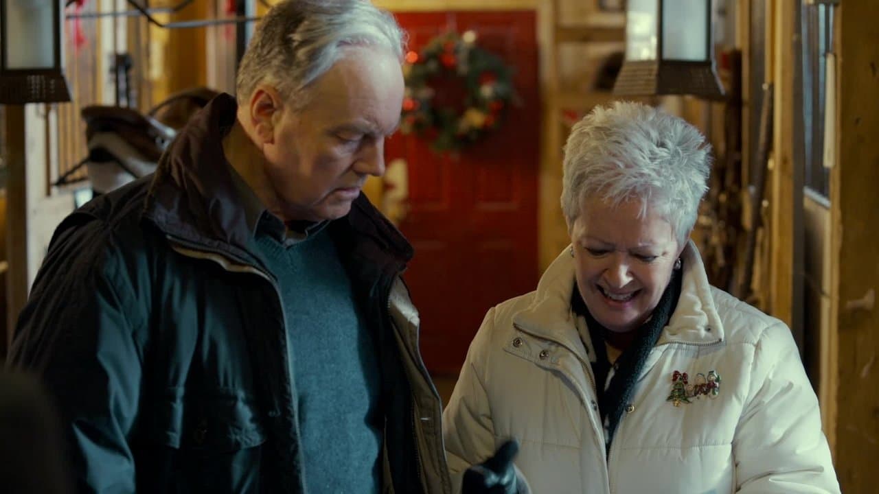 Un Natale da salvare