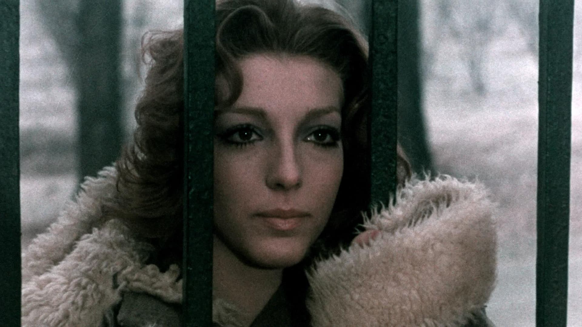 Hanno cambiato faccia