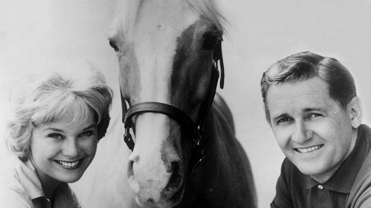 Mister Ed, il mulo parlante