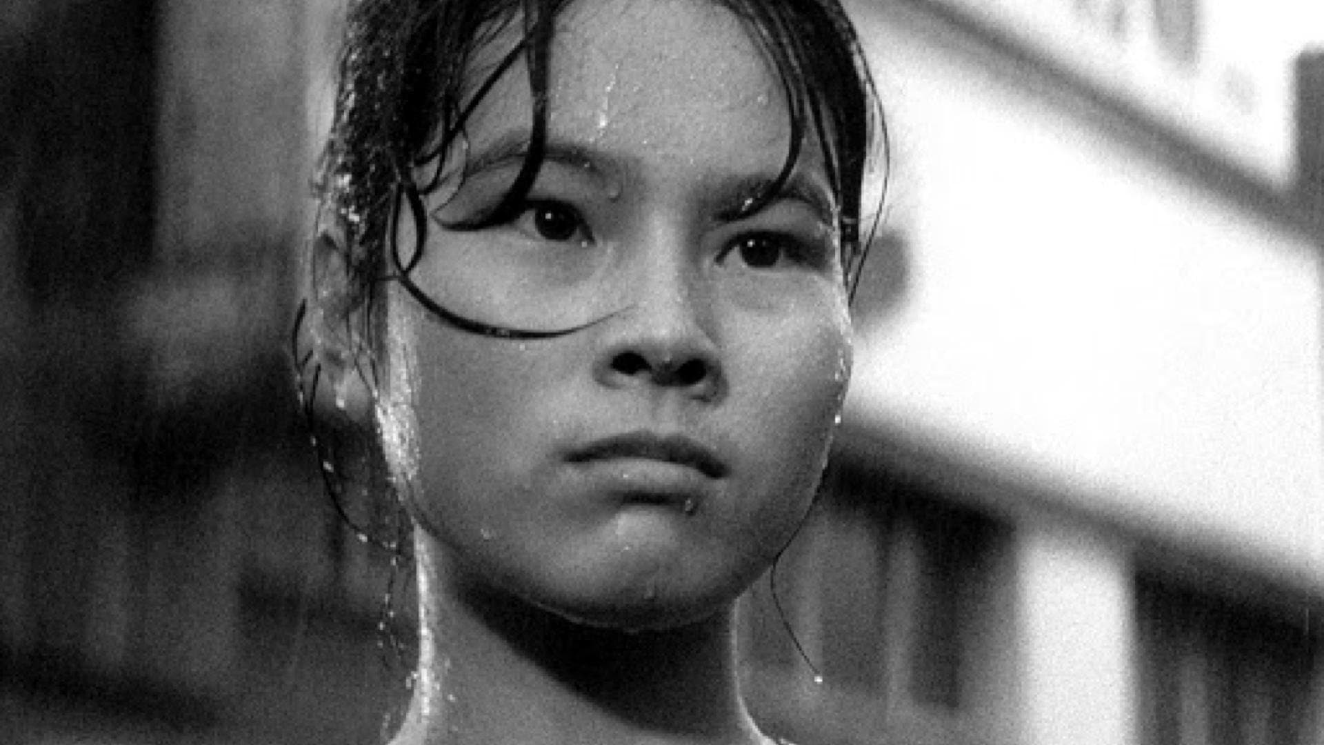 Porci, geishe e marinai