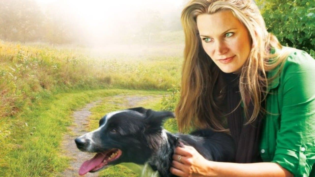 Il grande cuore di Lucky