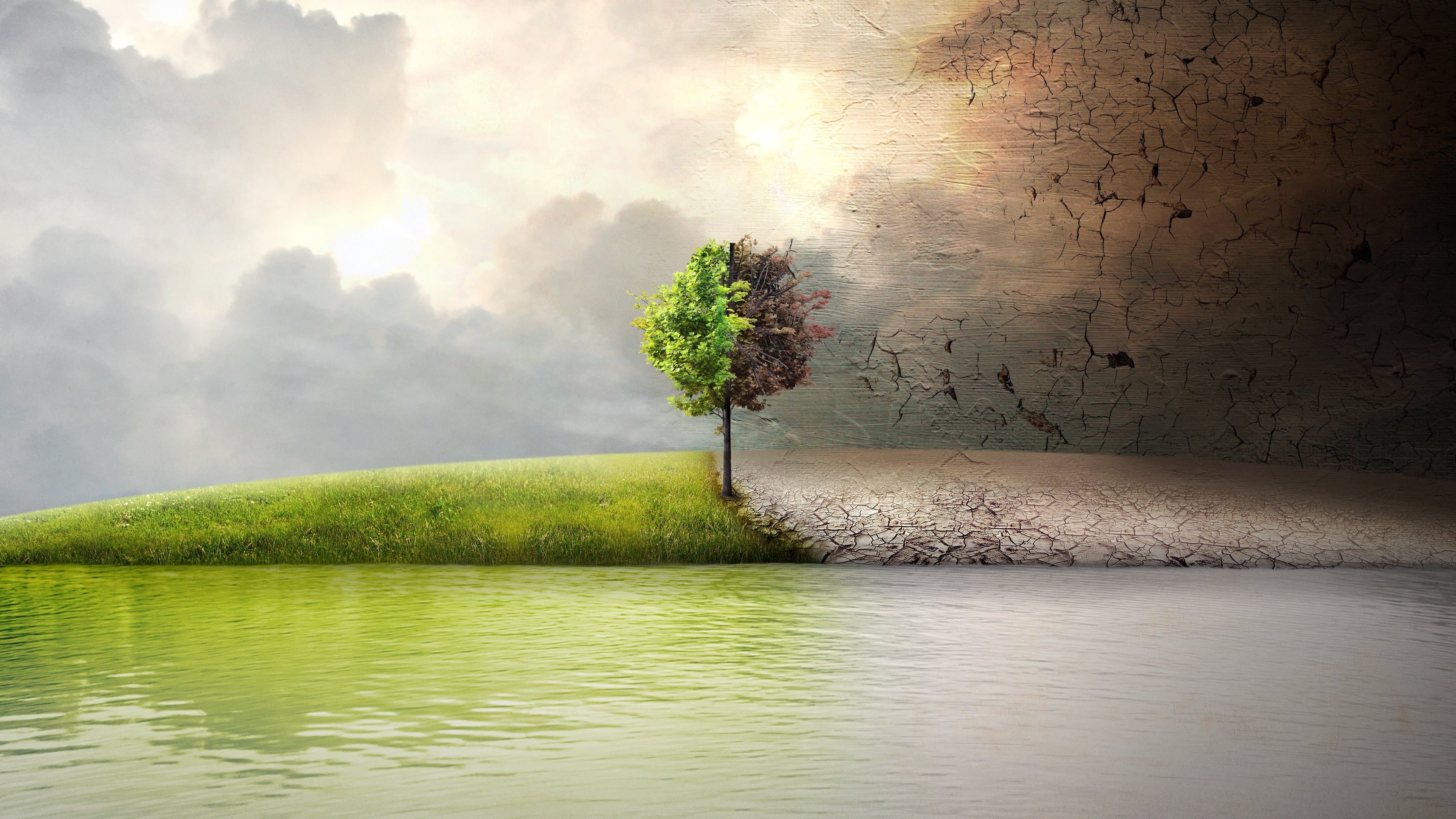 Punto di non ritorno - Before the Flood