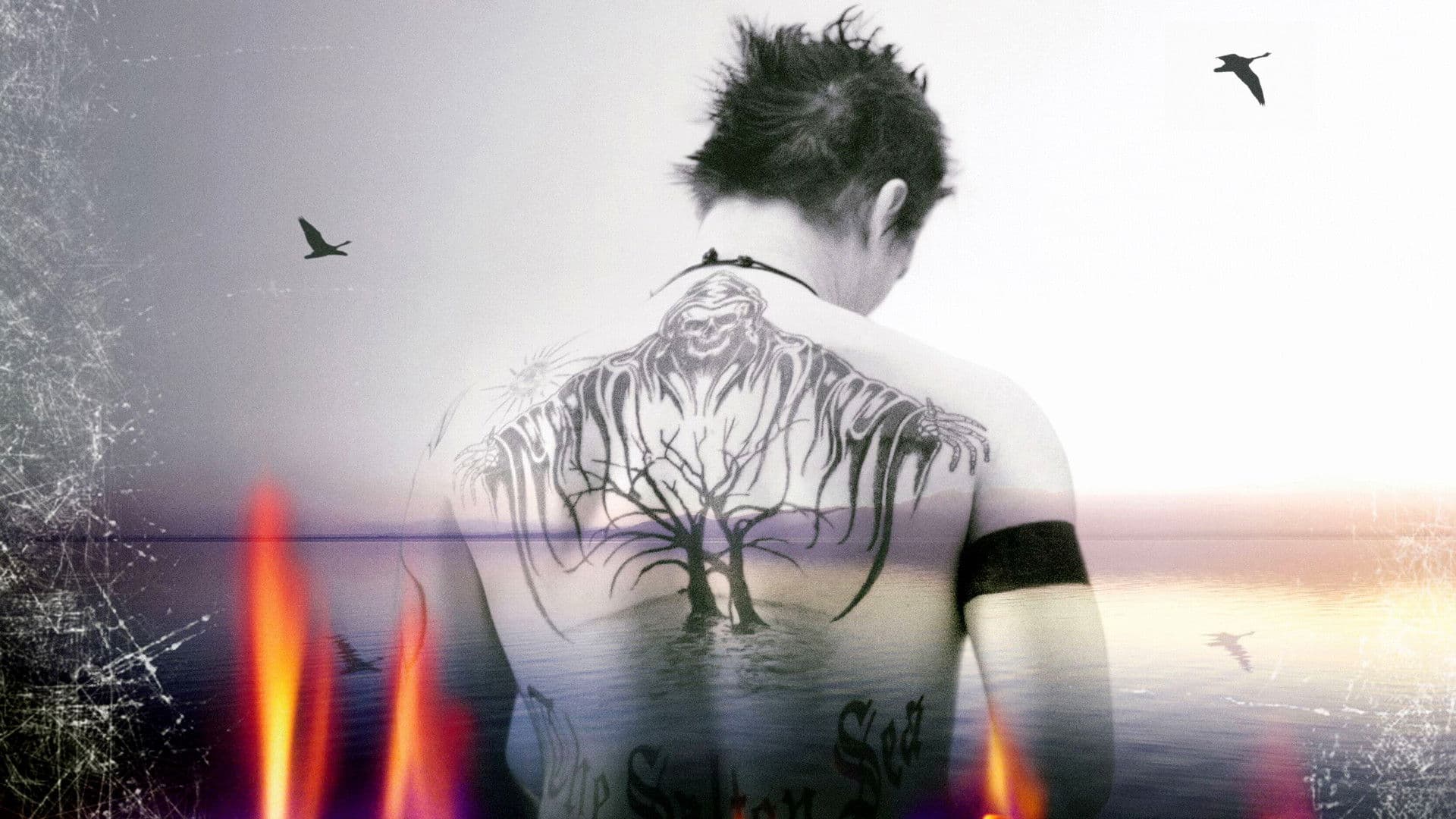 Salton Sea - Incubi e menzogne