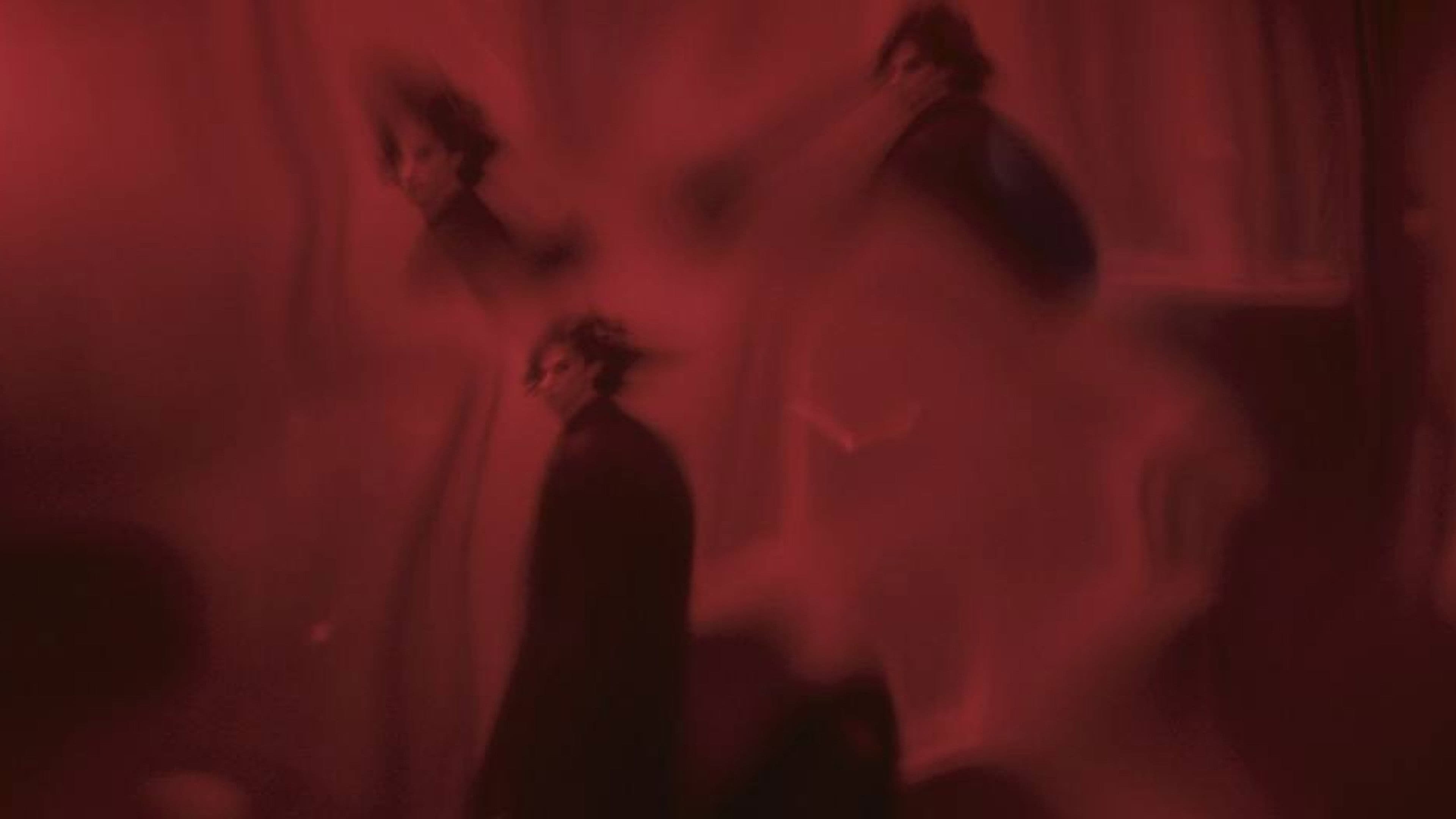 L'uomo che fotografò la donna più bella del mondo