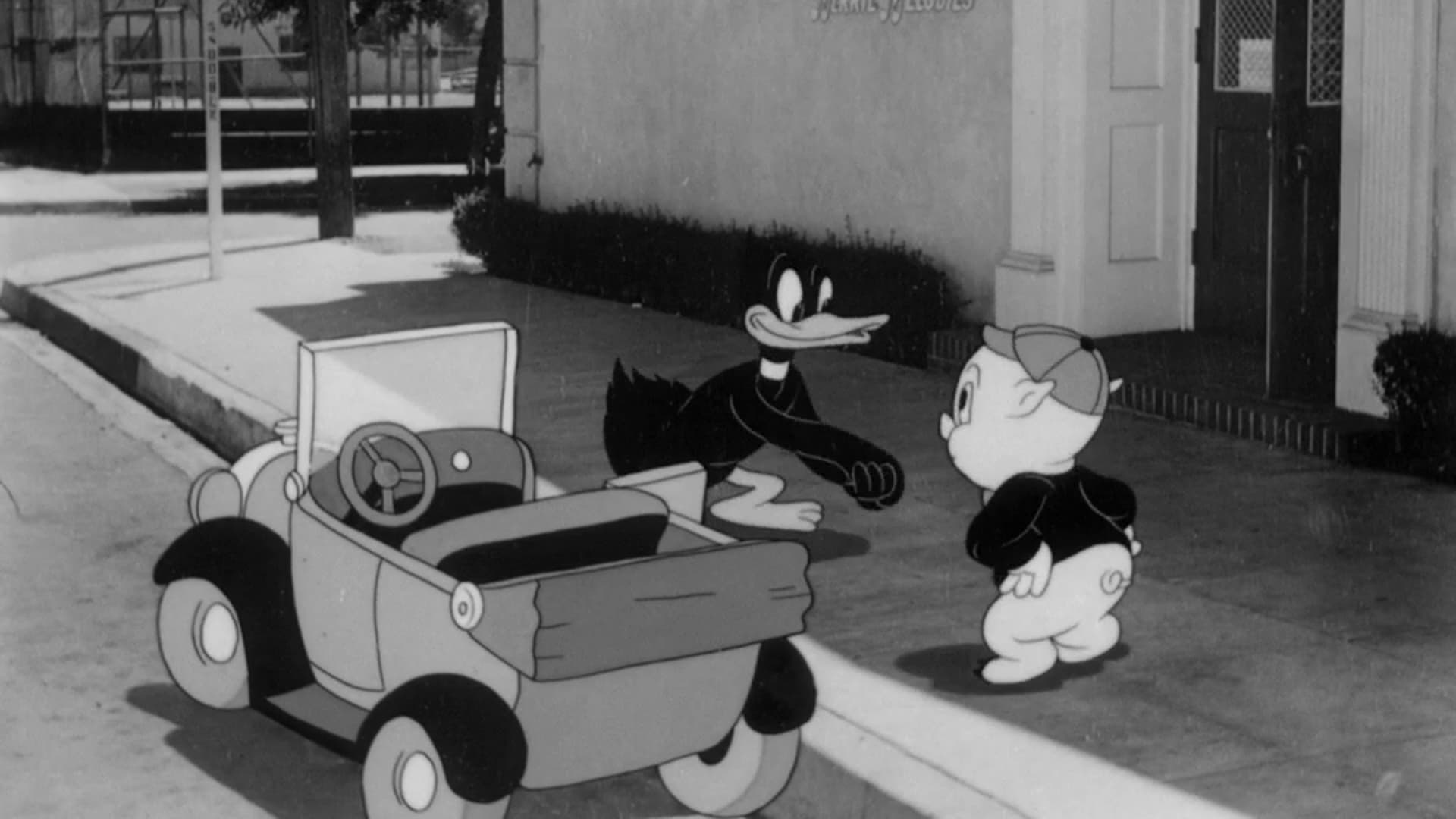 Dovresti fare del cinema