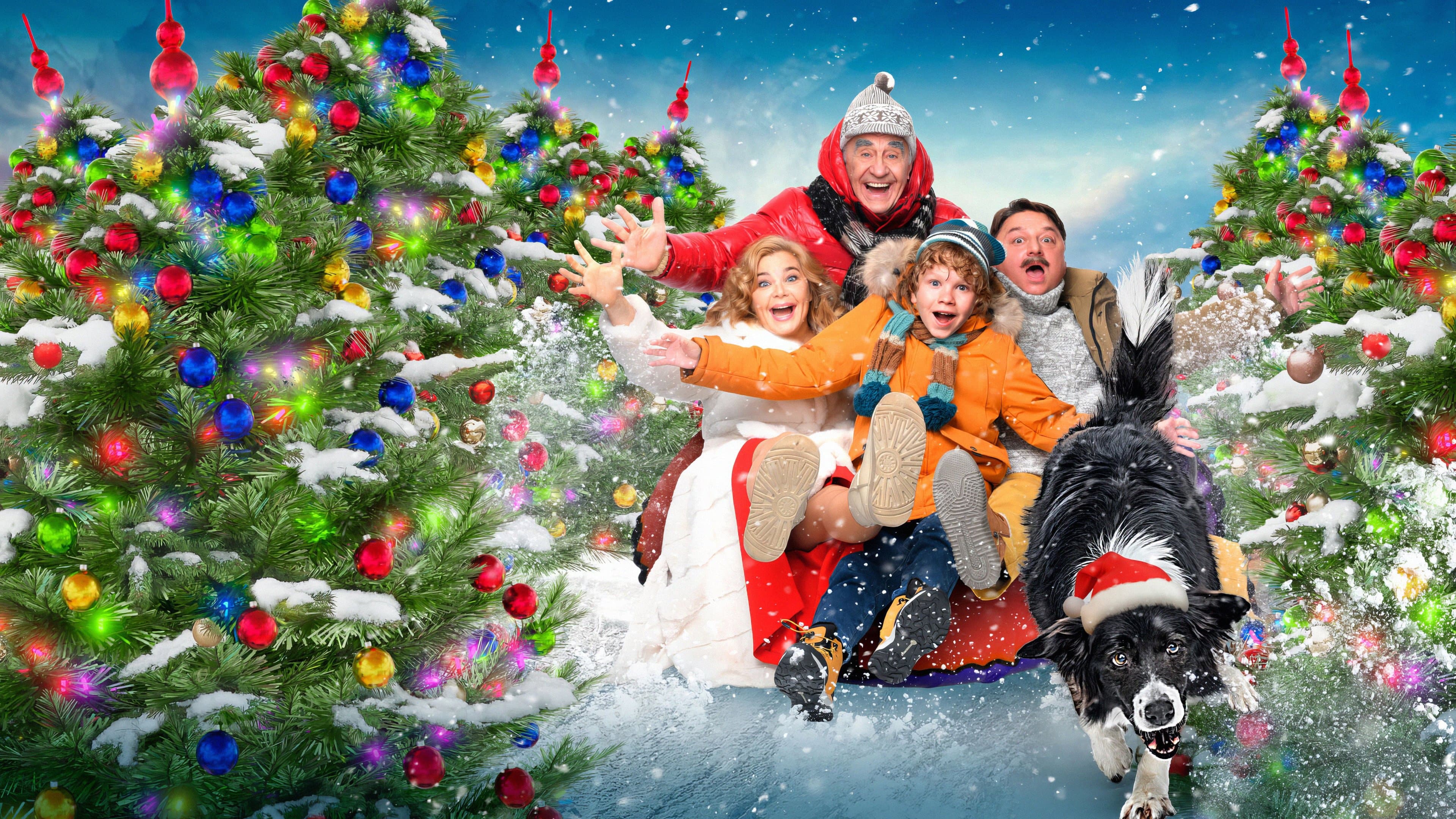 Мое собачье дело