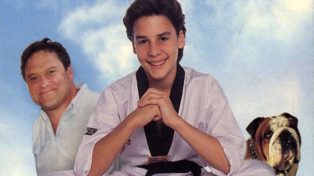 Il mio amico ninja 2