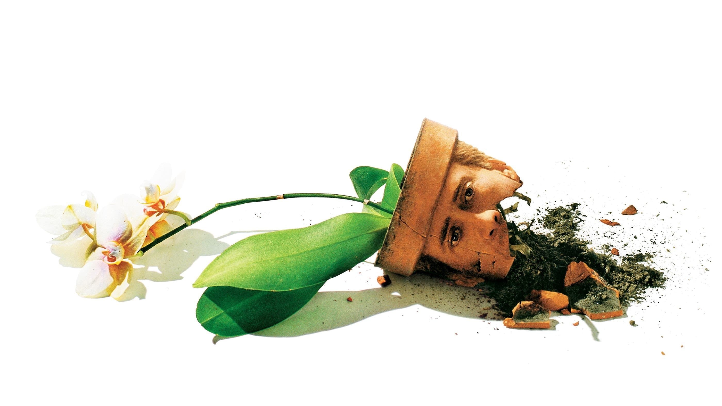 Il ladro di orchidee