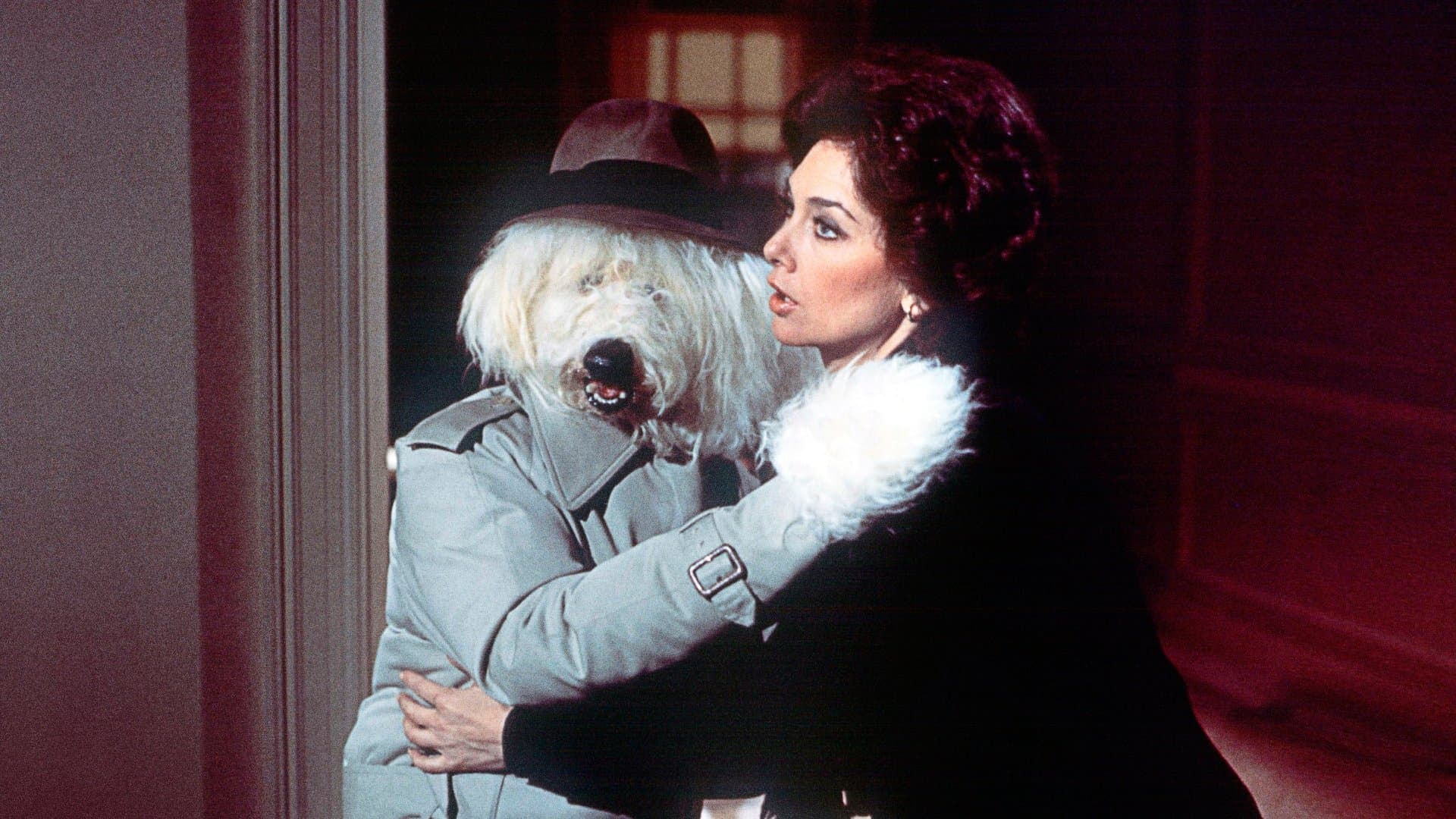 Quello strano cane di papà