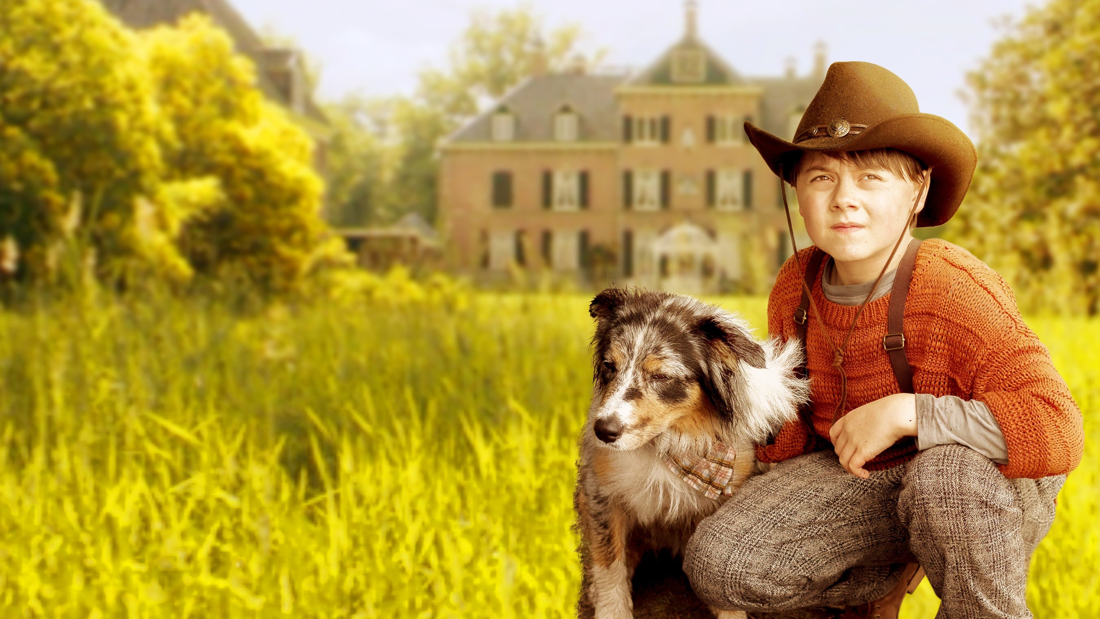 Crumb - La strada verso casa