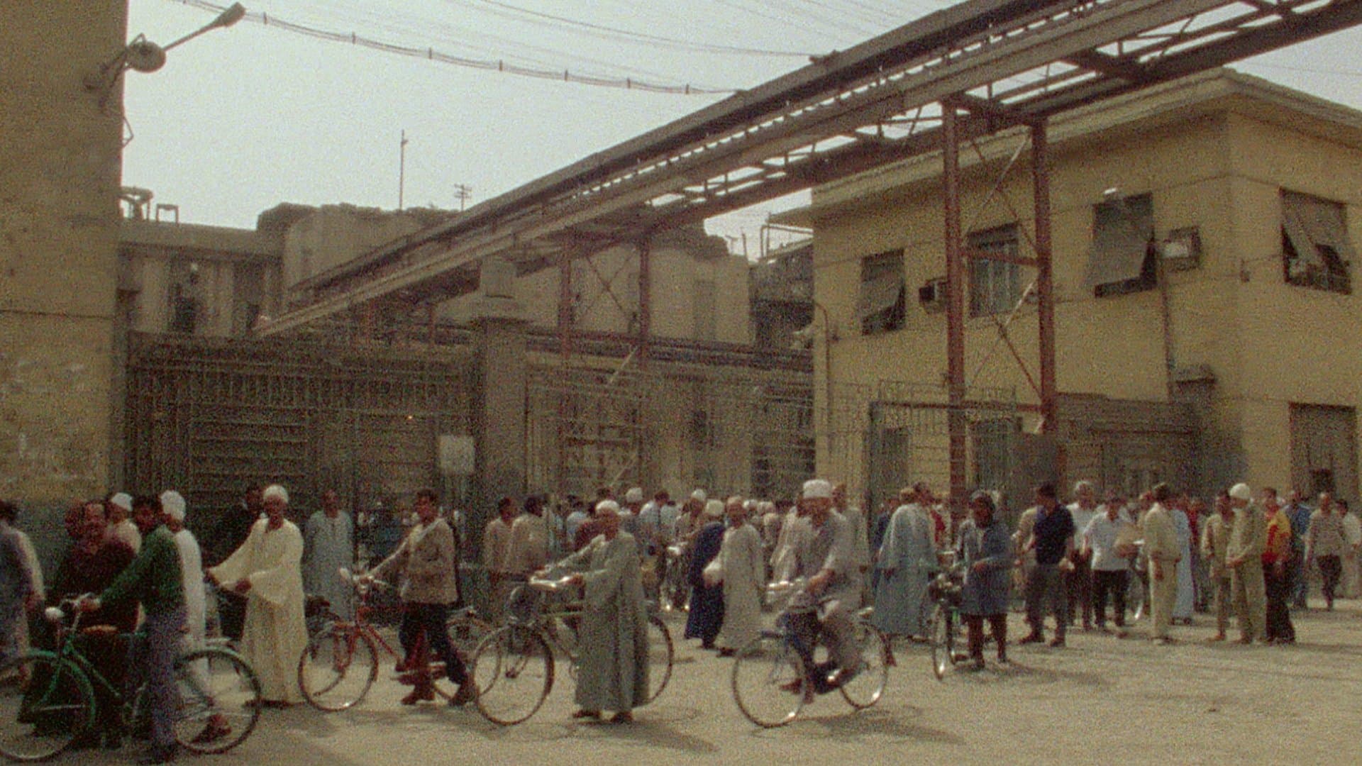 Troppo presto/Troppo tardi