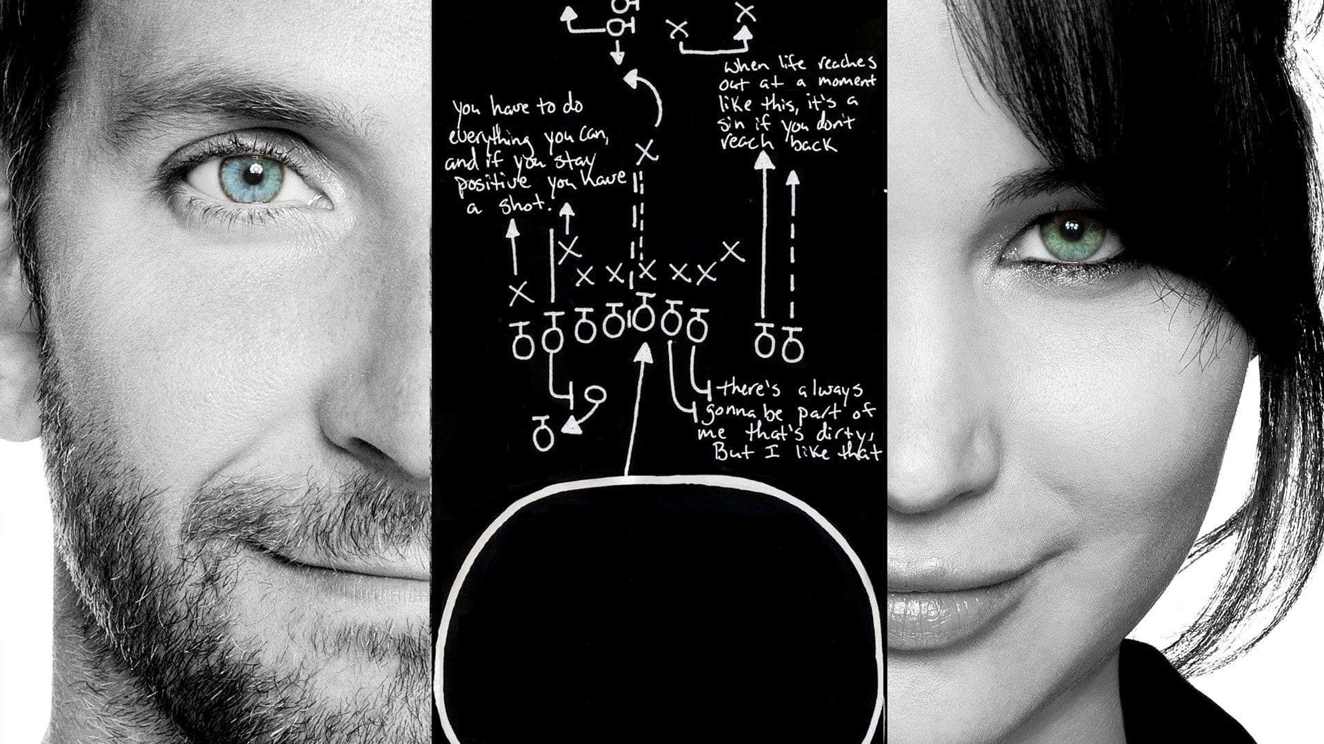 Il lato positivo - Silver Linings Playbook