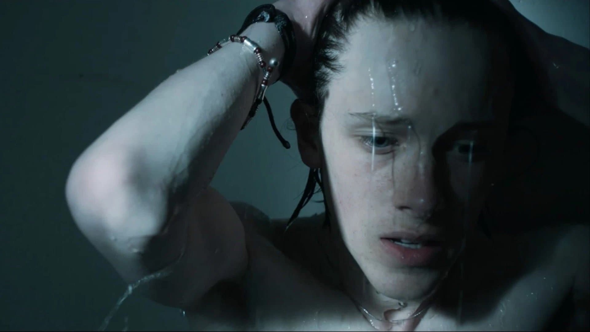 Il passero - The Sparrow