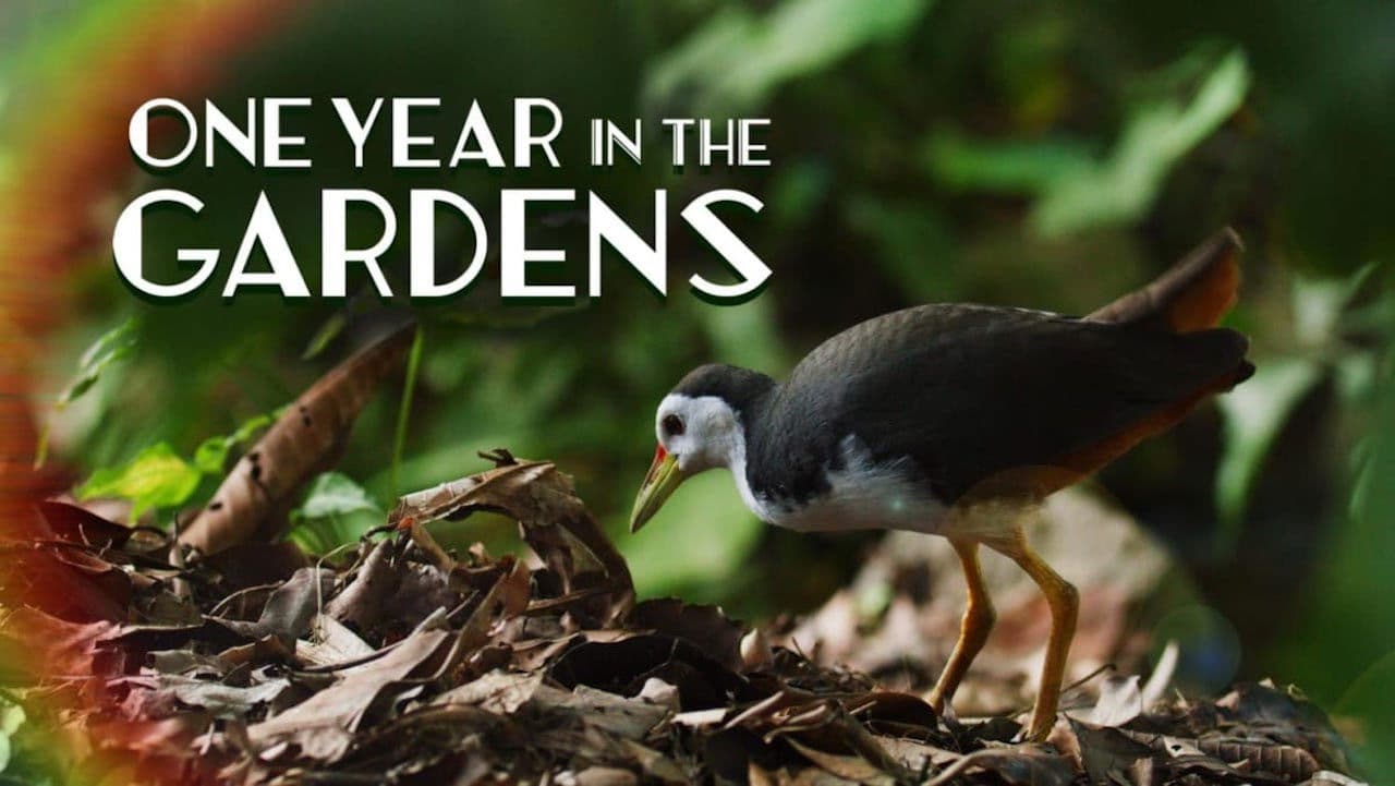 One Year in the Gardens