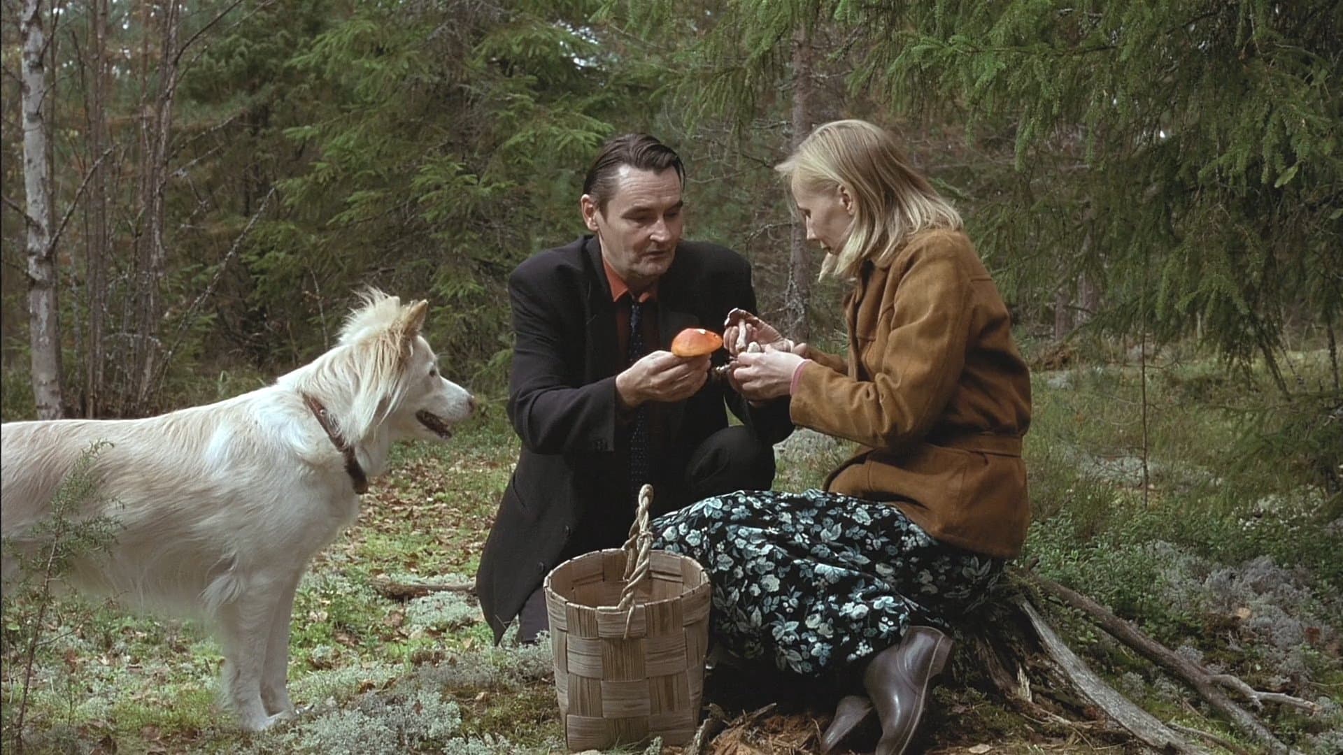 L'uomo senza passato