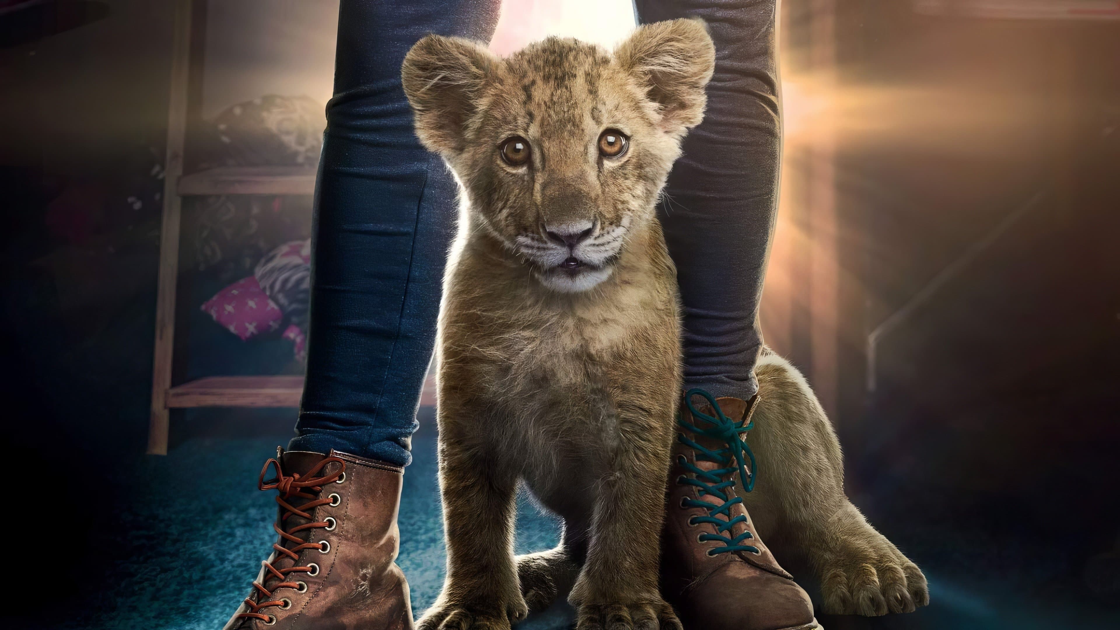 King - Un cucciolo da salvare