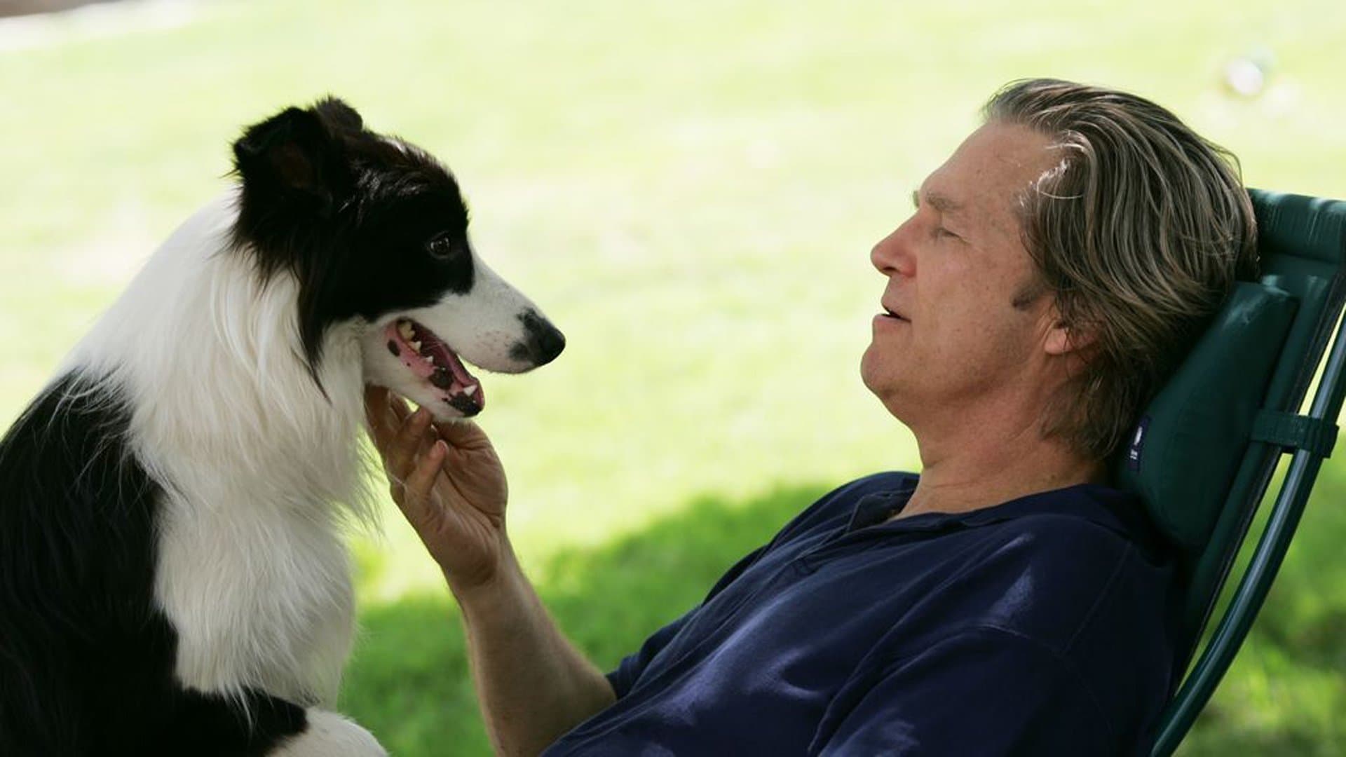 Pet Therapy - Un cane per amico